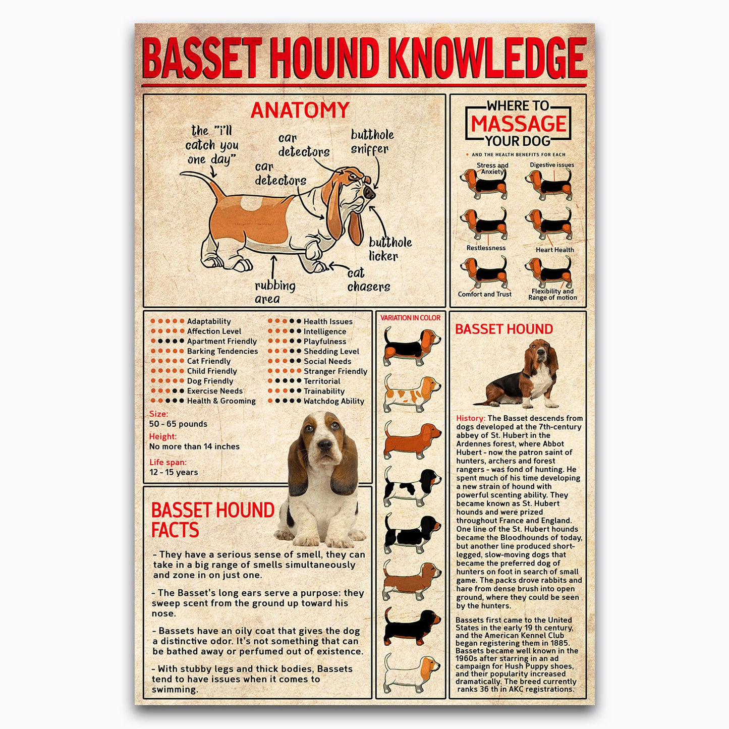 Basset Hound Knowledge Vintage Poster Canvas Wall Art For Classroom, Vet Clinic, Home Decor, Gifts For Dog Mom, Lovers, Geeks, Nerds, Educational Animal Chart For Kids, Dog Lovers