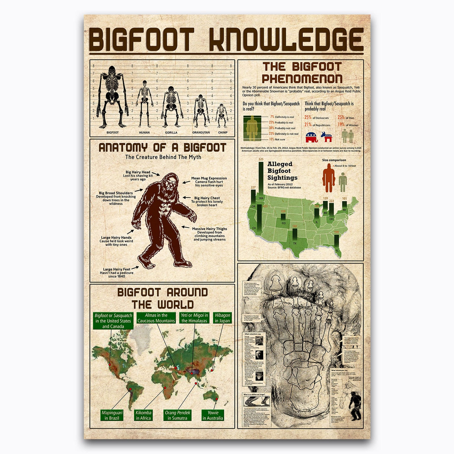 Mermaid Knowledge Poster, Fairy Mystery Vintage Canvas Wall Art For Man Cave, Classroom Decor, Gifts For Hippie, Mermaid Lovers, Geeks, Nerds, Anatomy History Educational Chart