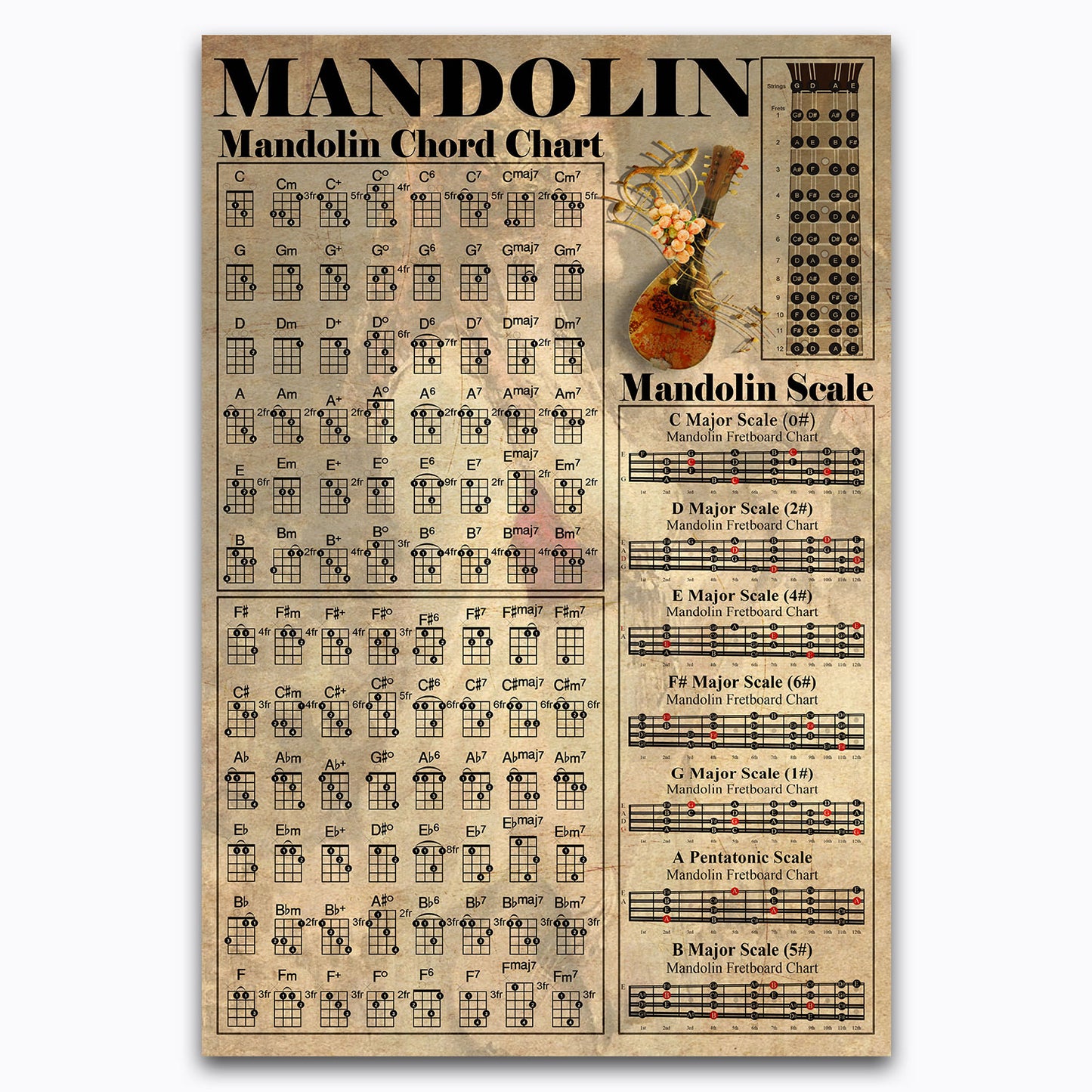 Choir Knowledge Poster, Church Singing Vintage Canvas Wall Art For Choral Music Ensemble Decor, Gifts For Singers, Christians, Geeks, Nerds, Educational Voice Types Cheat Sheet Chart For Kids