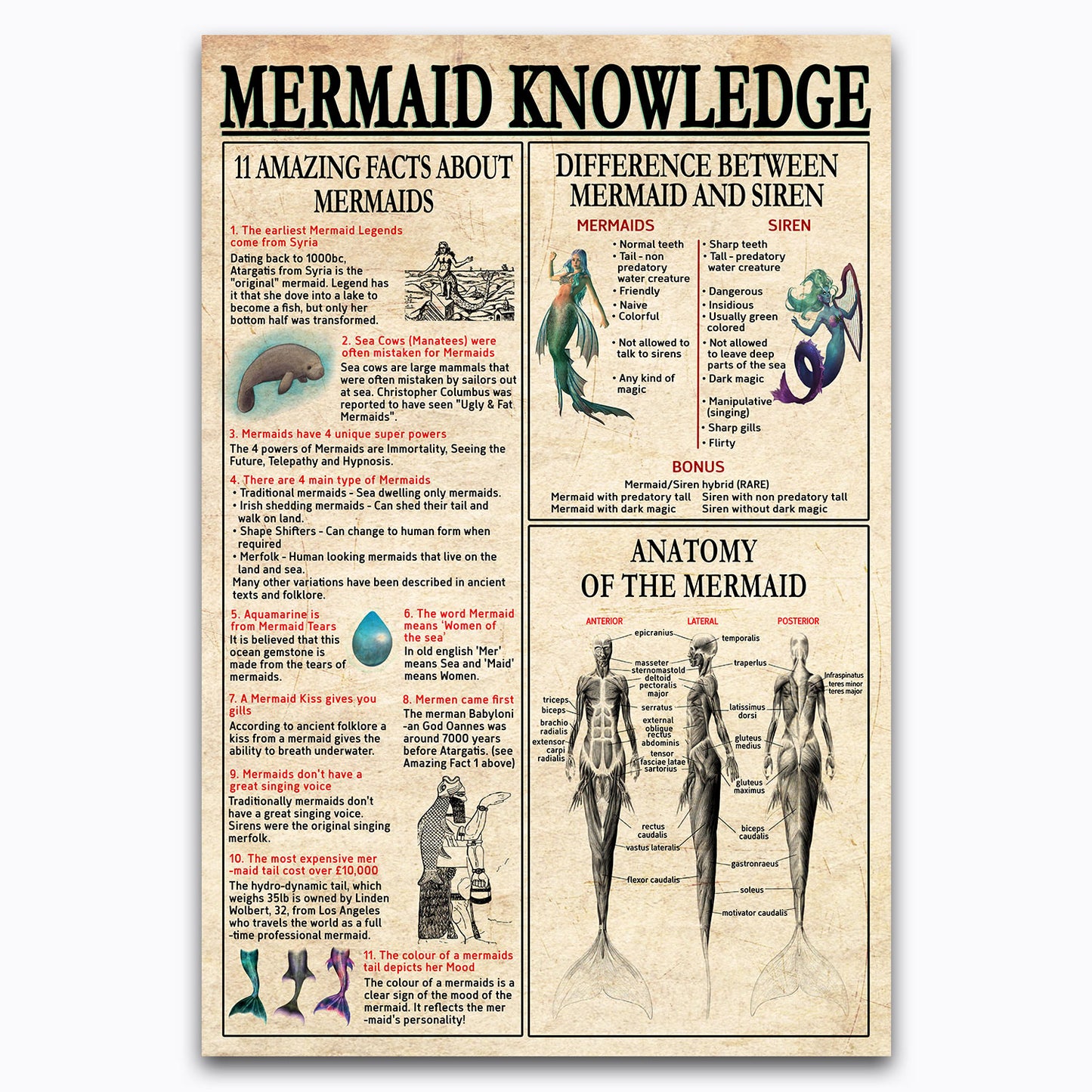 Raja Yoga Knowledge Poster, Eight Limbs Of Yoga Vintage Canvas Wall Art For Yoga Studio, Meditation Space Decor, Gifts For Yogi Women, Geeks, Nerds, Educational Namaste Chart For Zen Lifestyle