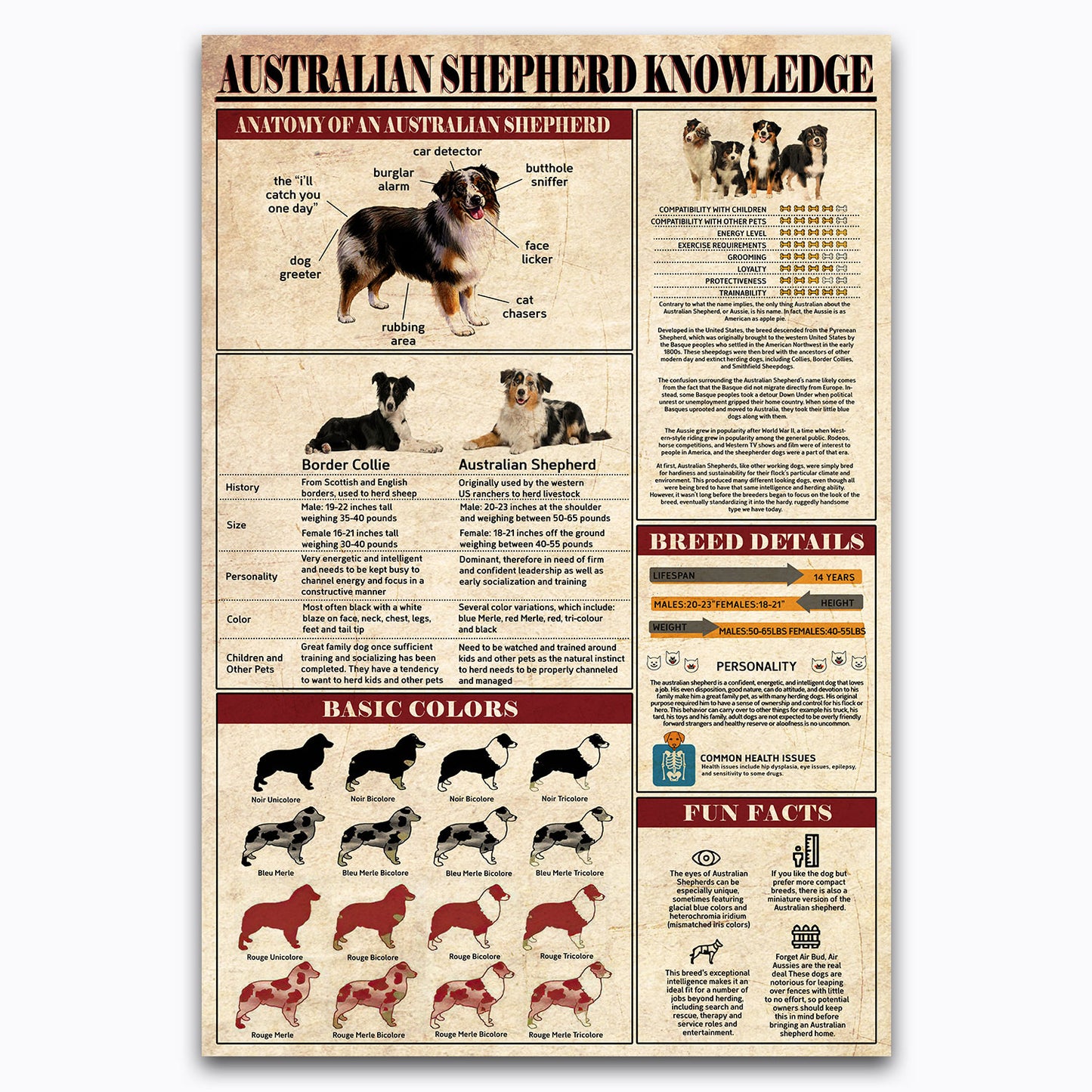 Australian Shepherd Knowledge Vintage Poster Canvas Wall Art For Classroom, Vet Clinic, Home Decor, Gifts For Dog Mom, Lovers, Geeks, Nerds, Educational Animal Chart For Kids, Dog Lovers