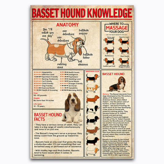 Basset Hound Knowledge Vintage Poster Canvas Wall Art For Classroom, Vet Clinic, Home Decor, Gifts For Dog Mom, Lovers, Geeks, Nerds, Educational Animal Chart For Kids, Dog Lovers
