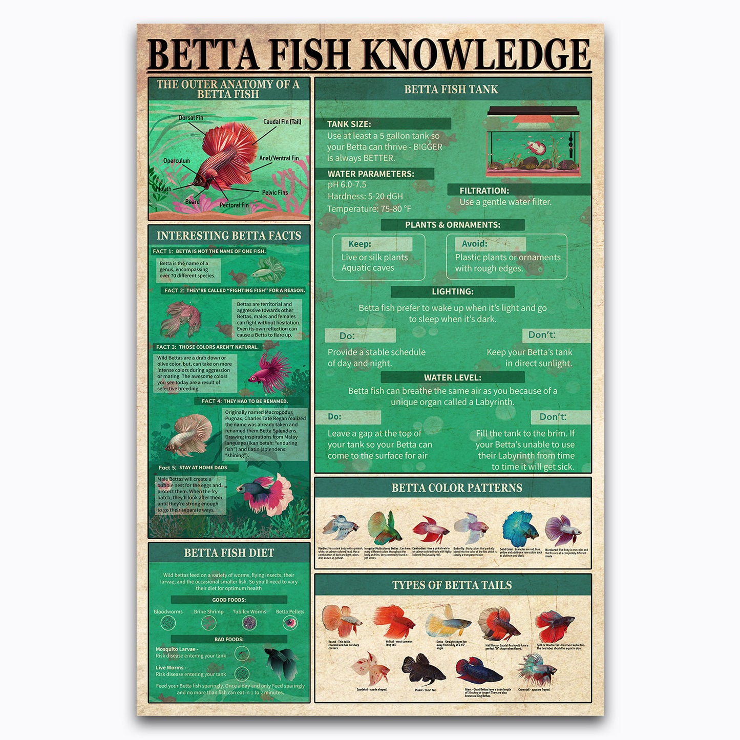 Types Of Betta Fish Anatomy Knowledge Vintage Poster Canvas Wall Art For Biology Class, Barn, Country House Decor, Gifts For Fisherman, Fish Lovers, Farmers, Geeks, Nerds, Educational For Kids