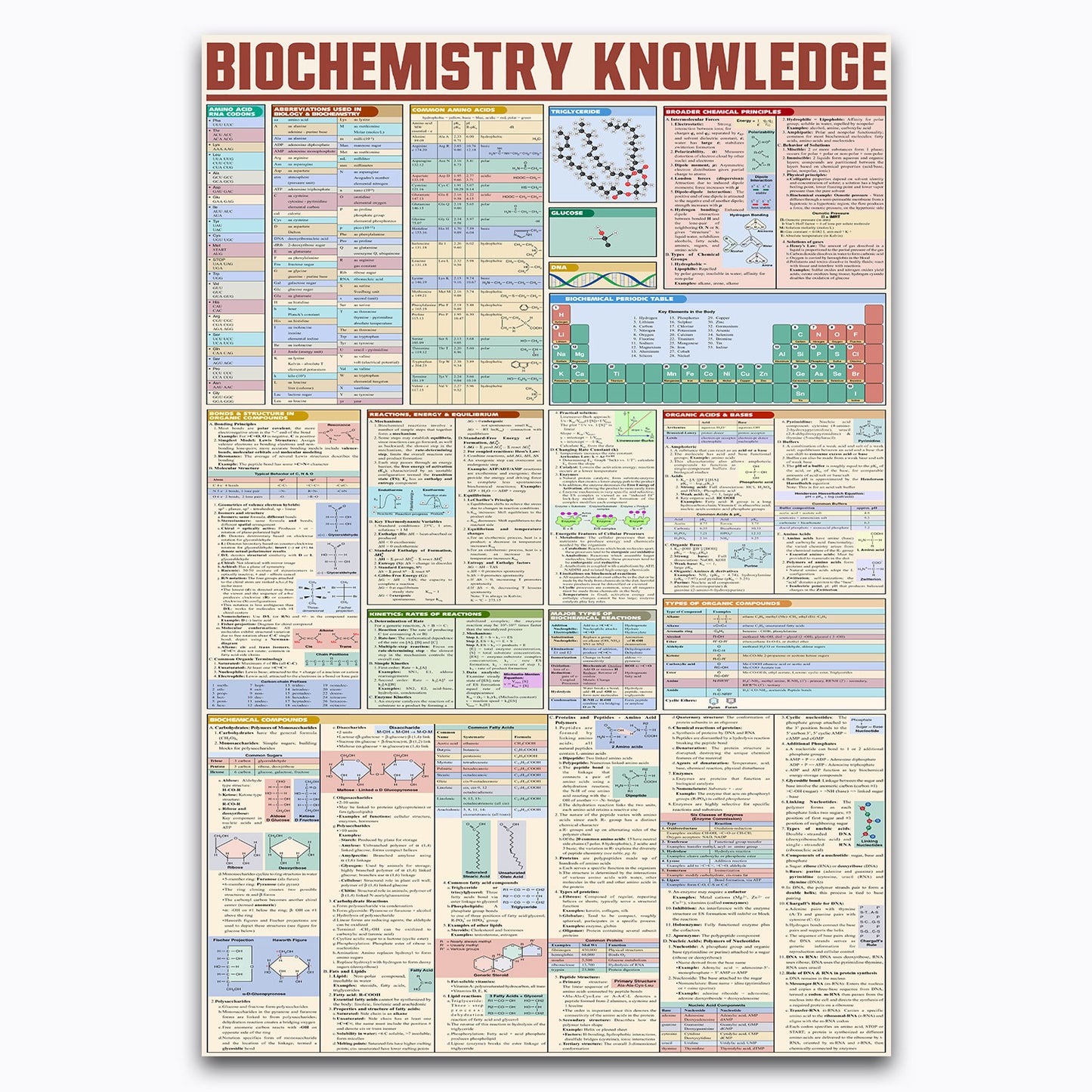 Biochemistry Knowledge Vintage Poster Canvas Wall Art For Science, Biology Classroom Decor, Gifts For Biochemist, Teachers, Students, Geeks, Nerds, Educational Print Chart For Kids