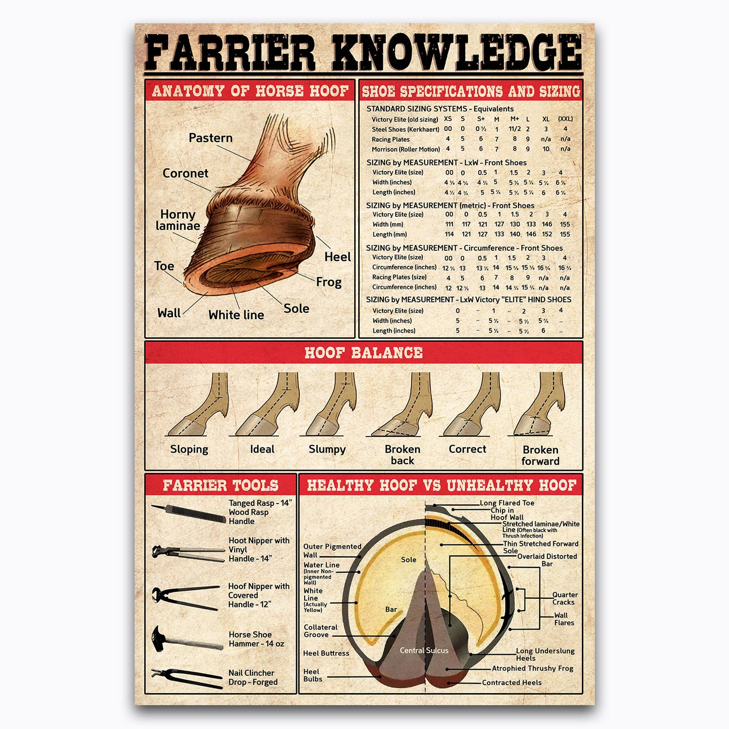 Farrier Knowledge Vintage Poster Canvas Wall Art For Farmhouse, Barn, Classroom, Clinic Decor, Gifts For Veterinarian, Equestrians, Farmers, Geeks, Nerds, Educational Chart For Children, Farmers